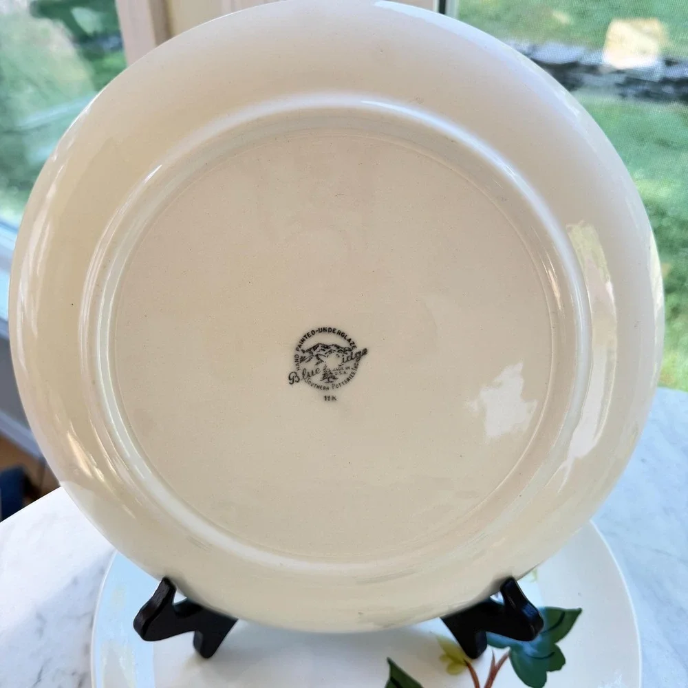Blue‎ Ridge Southern Potteries Baltic Ivy Vintage Dishes 2 Dinner Plates USA
